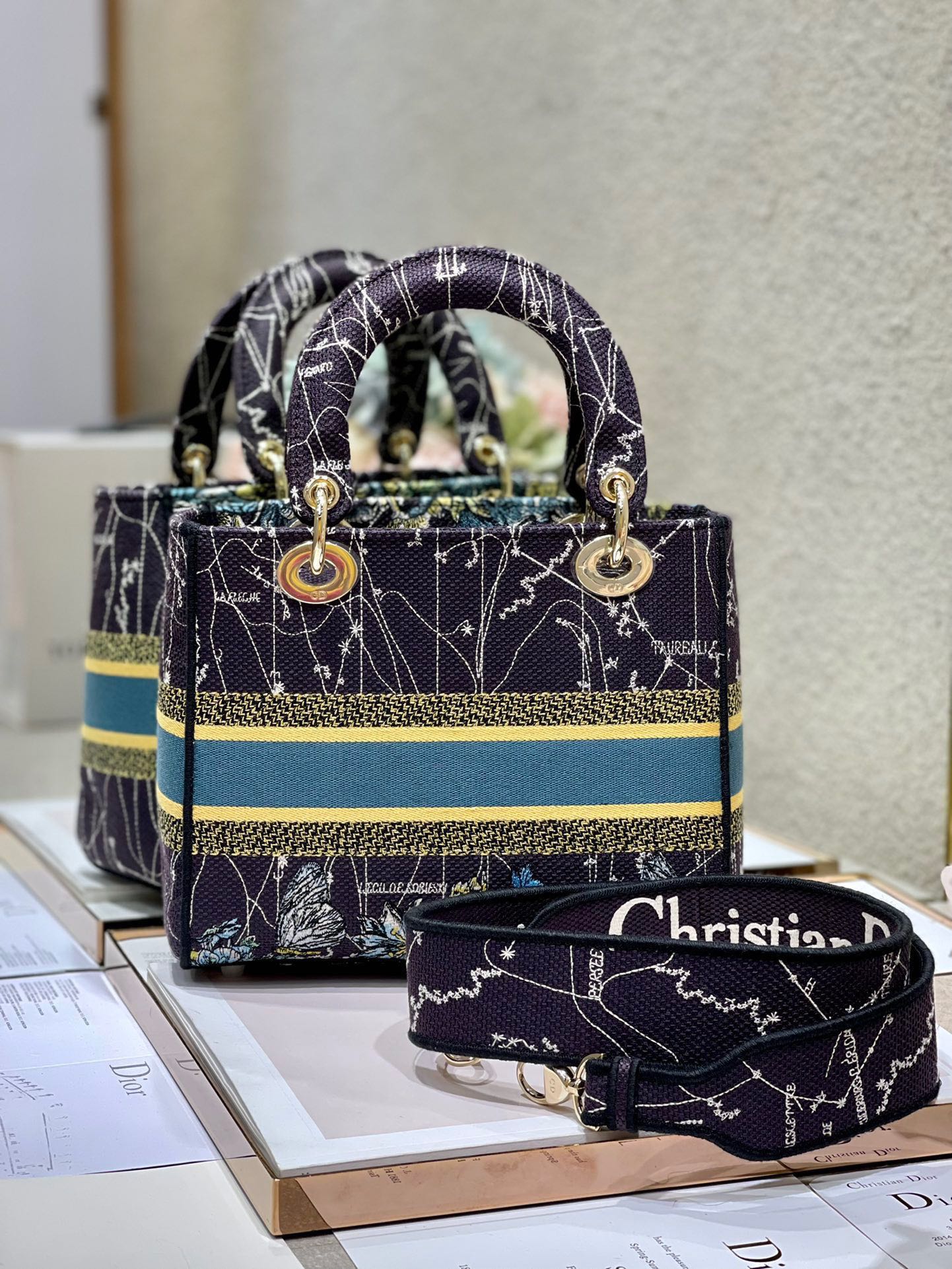 CD Blue Constellation 24 Lady Dior Bag Canvas 336724