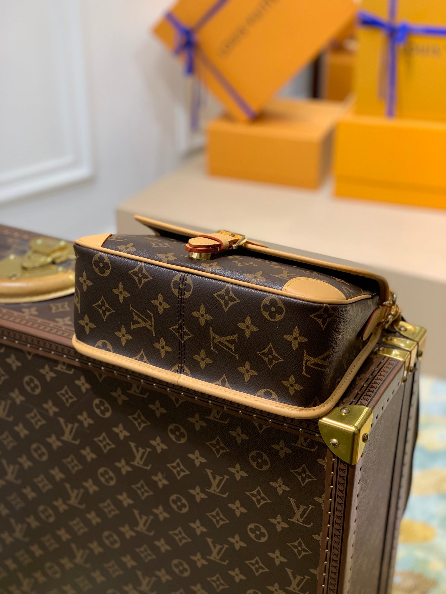 diane 24 brown monogram canvas