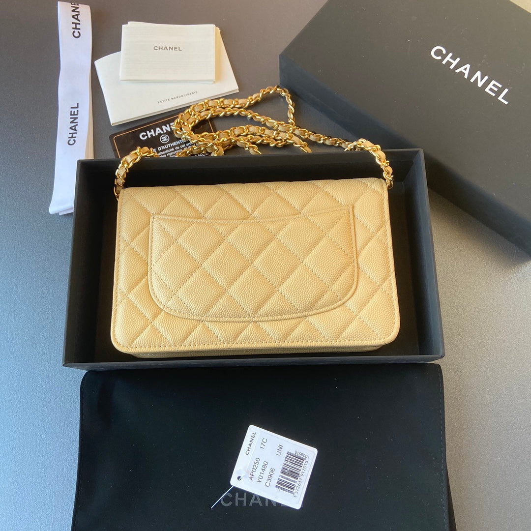 CC Woc 20cm Lime Grained Calfskin Gold Hardware
