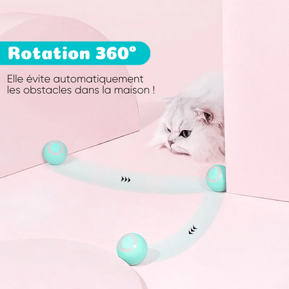SMARTY - Balle Interactive pour Chat