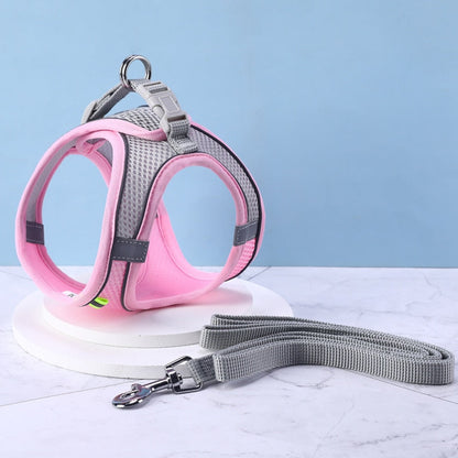 Ensemble Harnais + Laisse maille ultra respirante