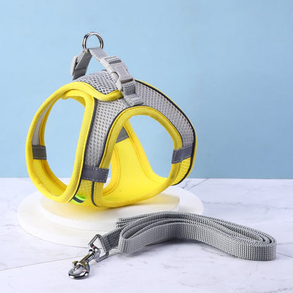 Ensemble Harnais + Laisse maille ultra respirante