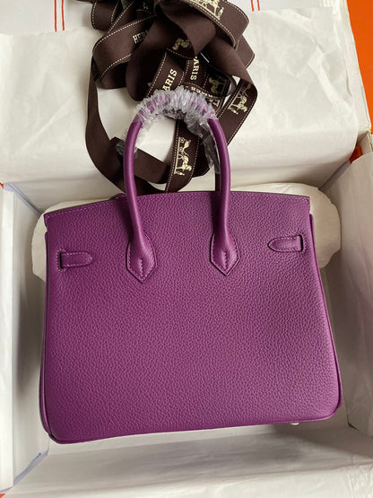 Hermes 2025 Birkin Bag Purple With Gold Hardware Togo Leather