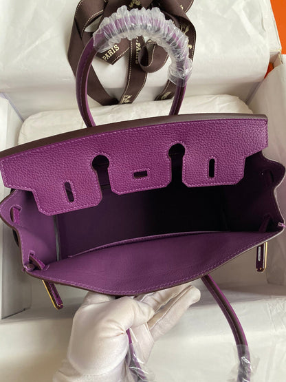 Hermes 2025 Birkin Bag Purple With Gold Hardware Togo Leather