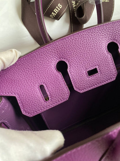 Hermes 2025 Birkin Bag Purple With Gold Hardware Epsom Leather