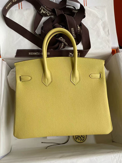 Hermes 2026 Birkin Bag 25cm Yellow Togo Leather Silver Hardware