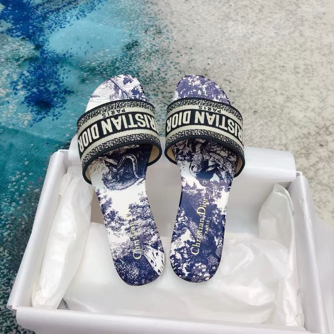 Dior 2026 Dway Slide Toile de Jouy Motif Vibrant Blue Cotton Leather
