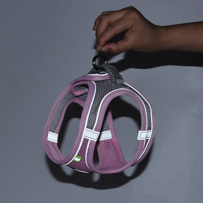 Ensemble Harnais + Laisse maille ultra respirante