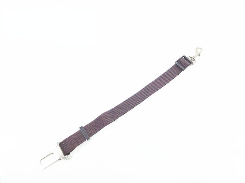 Ceinture de sécurité réglable pour animal de compagnie