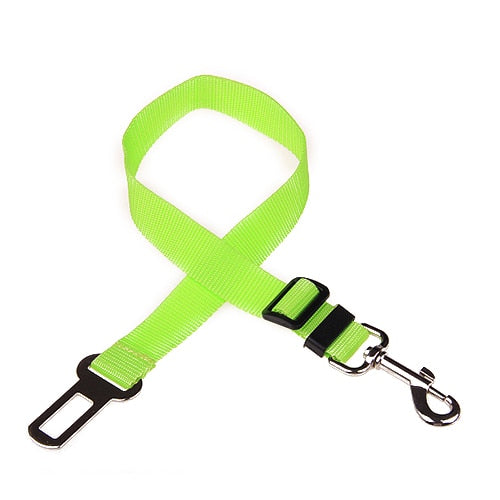Ceinture de sécurité réglable pour animal de compagnie