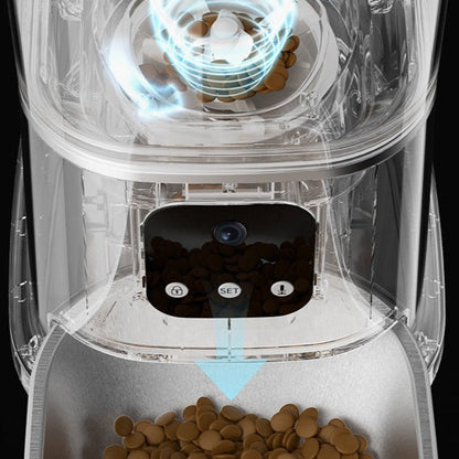 Distributeur automatique croquette pour chat avec caméra vidéo