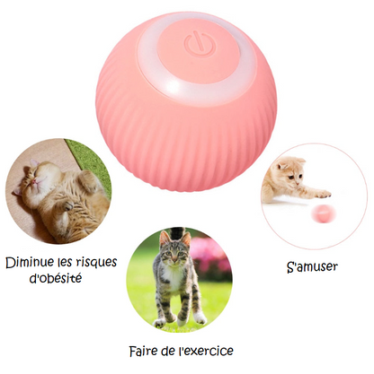 SMARTY - Balle Interactive pour Chat