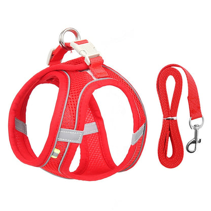 Ensemble Harnais + Laisse maille ultra respirante
