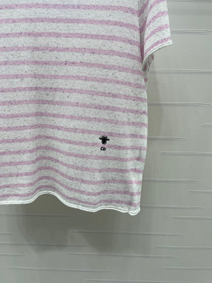 Dior 2026 Striped T-shirt Blue and Pink Wool