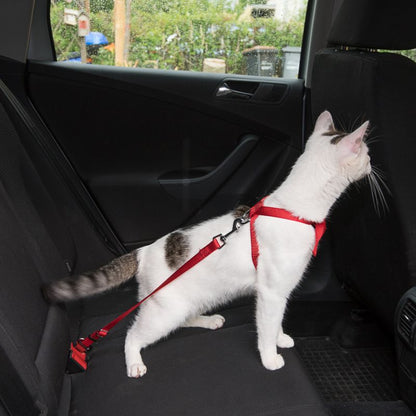 Ceinture de sécurité réglable pour animal de compagnie