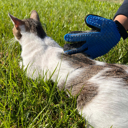 VENEO - Gant de Toilettage pour Chat