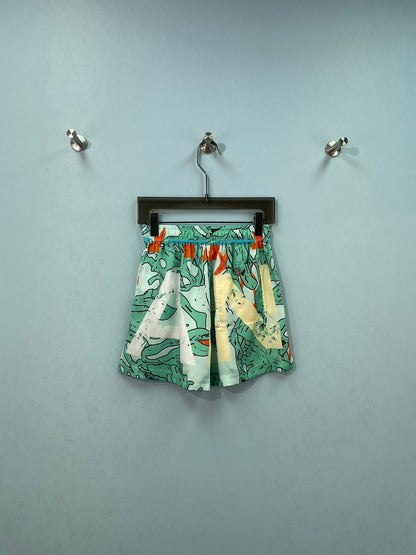 Chanel 2026 Printed Shorts Silk Cotton 482203