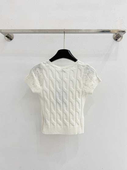 Chanel 2026 Short-sleeved Slim Fit Knit Sweater Wool Polyester 341194