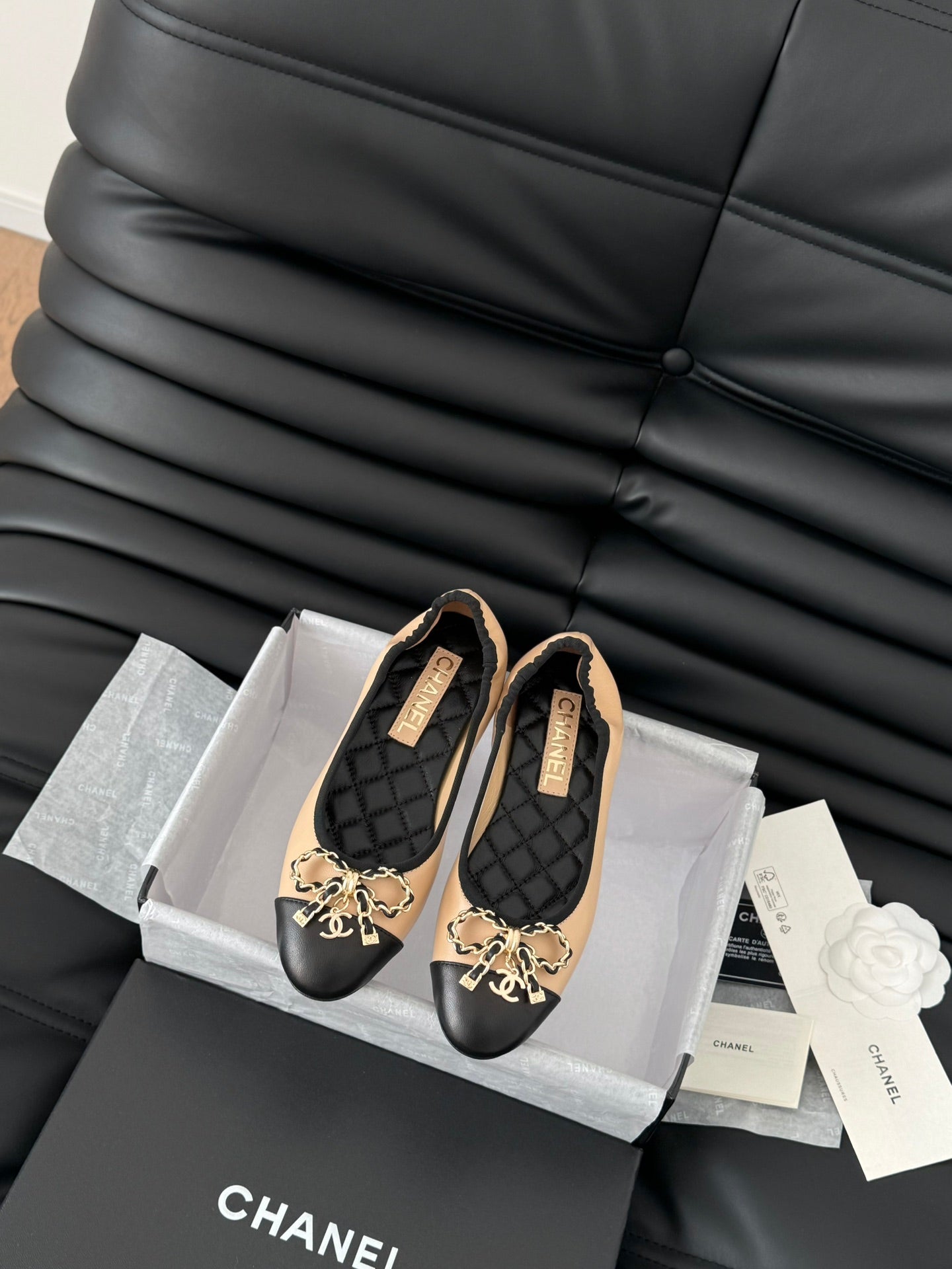 CC Ballet Flats In Beige Lambskin 143530