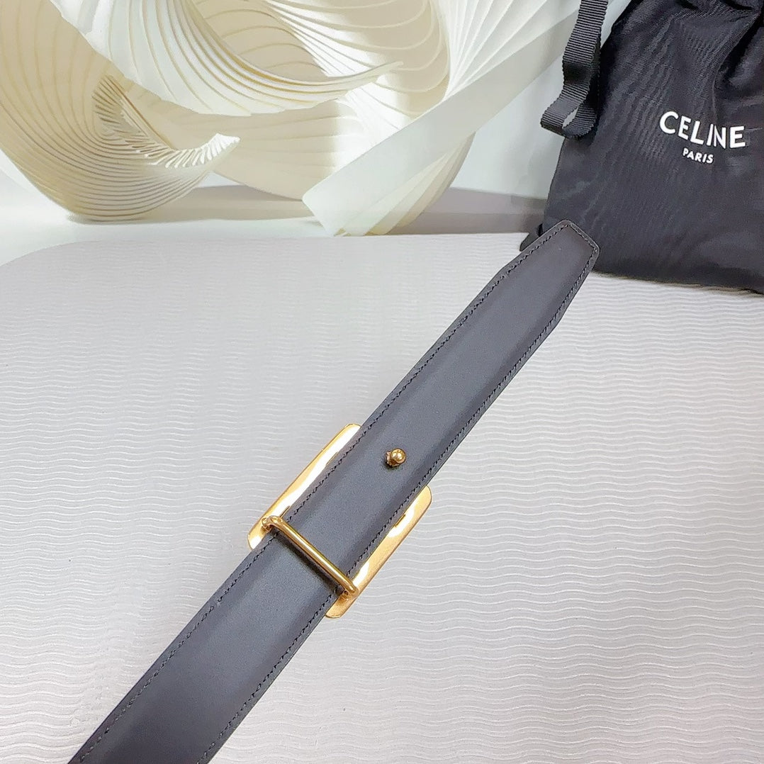 CEL Gold Buckle Belt  25mm Brown Calfskin 178254