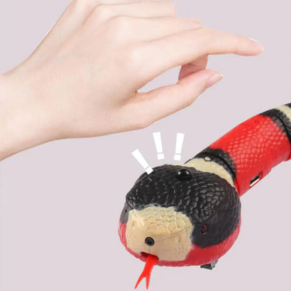 SAMI - Serpent à détection intelligente pour chat